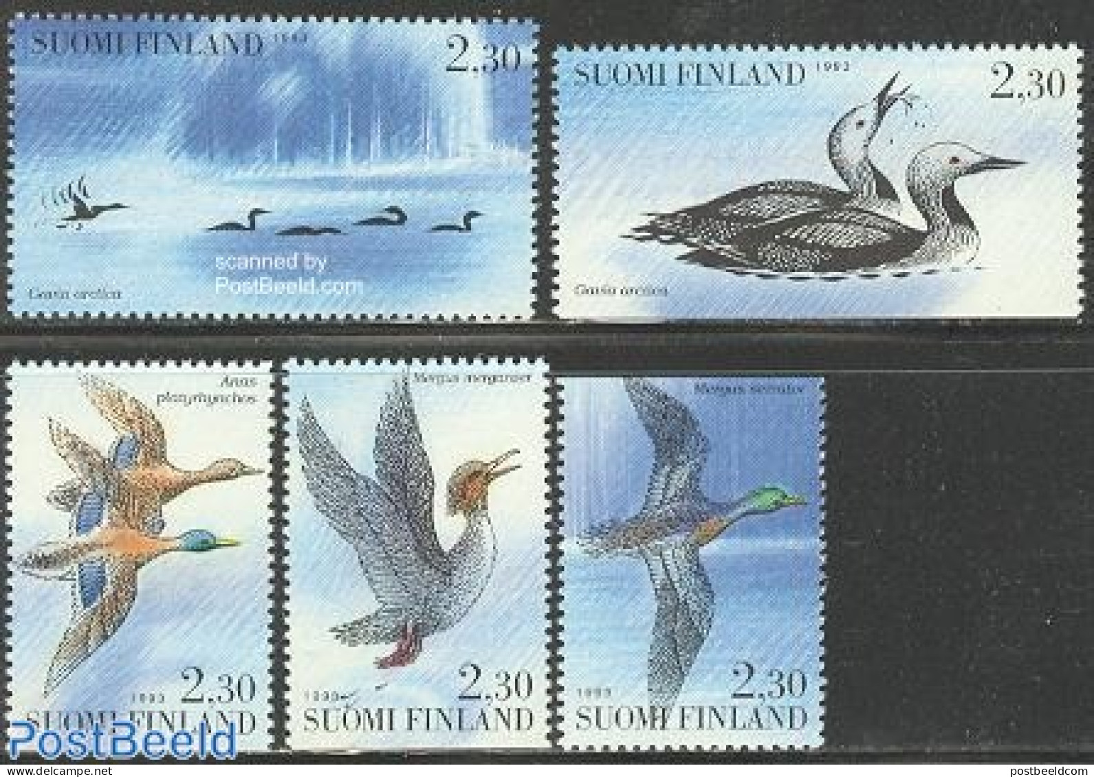 Finland 1993 Water Birds 5v (from Booklet), Mint NH, Nature - Birds - Ongebruikt