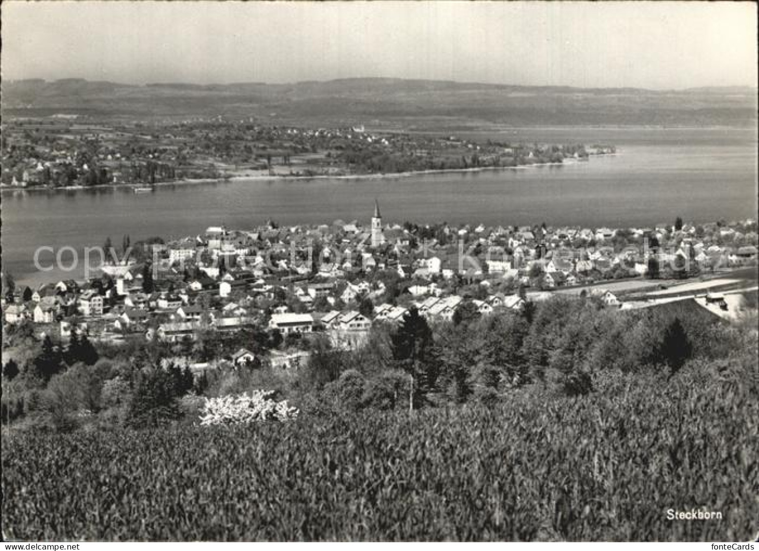 12588322 Steckborn Untersee Panorama Bodensee Steckborn - Autres & Non Classés