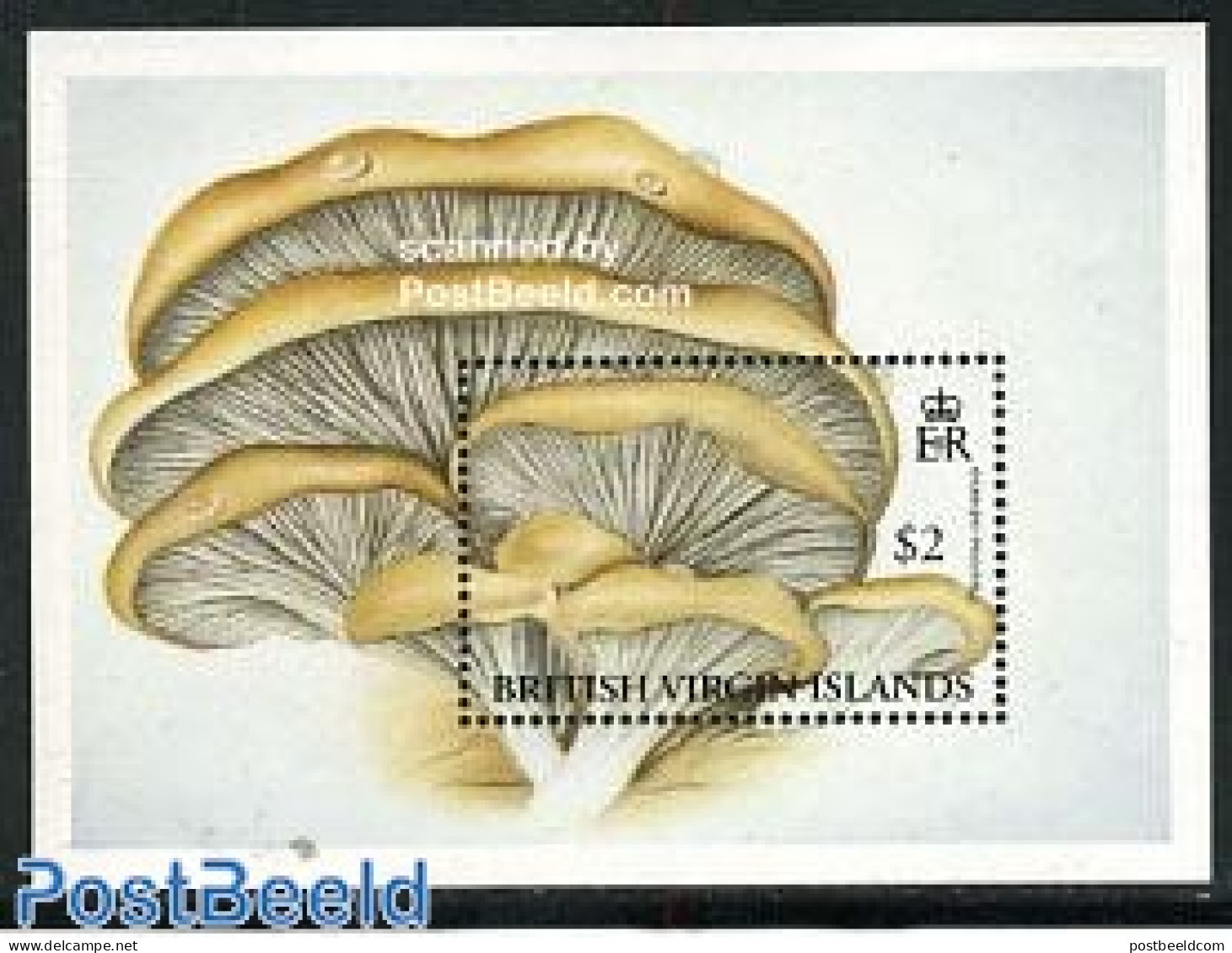 Virgin Islands 1992 Mushrooms S/s, Mint NH, Nature - Mushrooms - Champignons