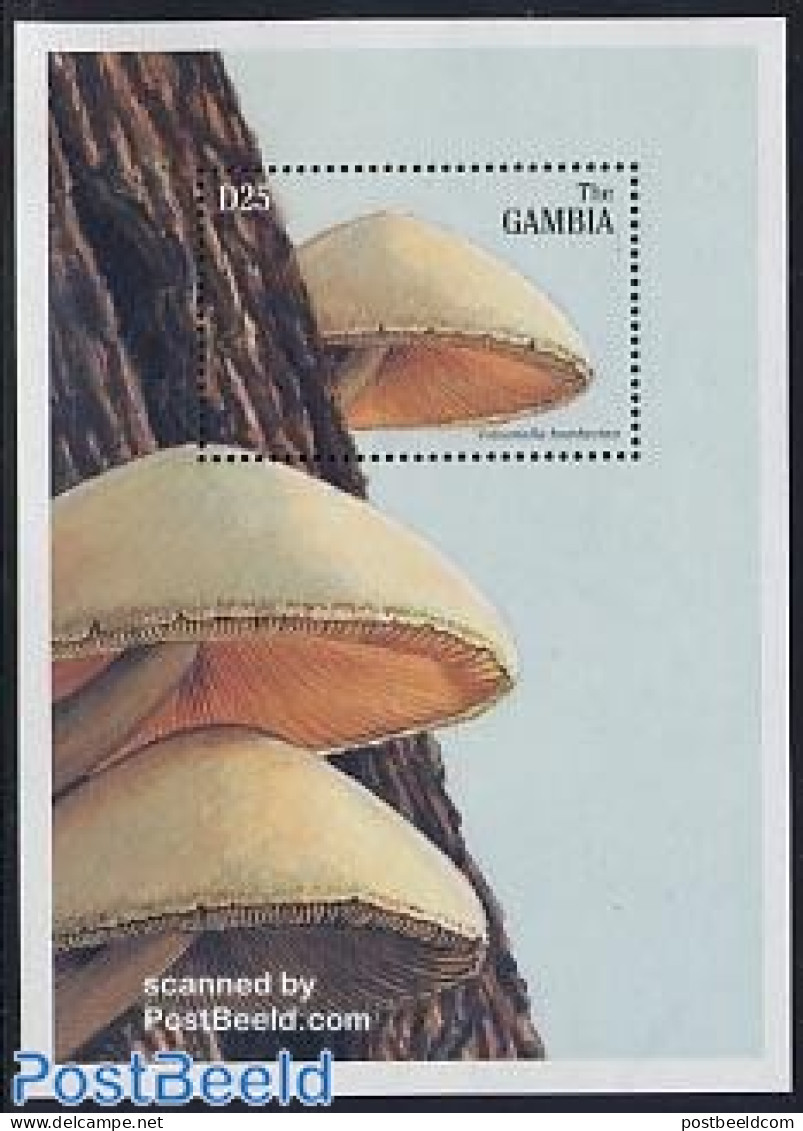 Gambia 1997 Volvariela Bombycina S/s, Mint NH, Nature - Mushrooms - Funghi
