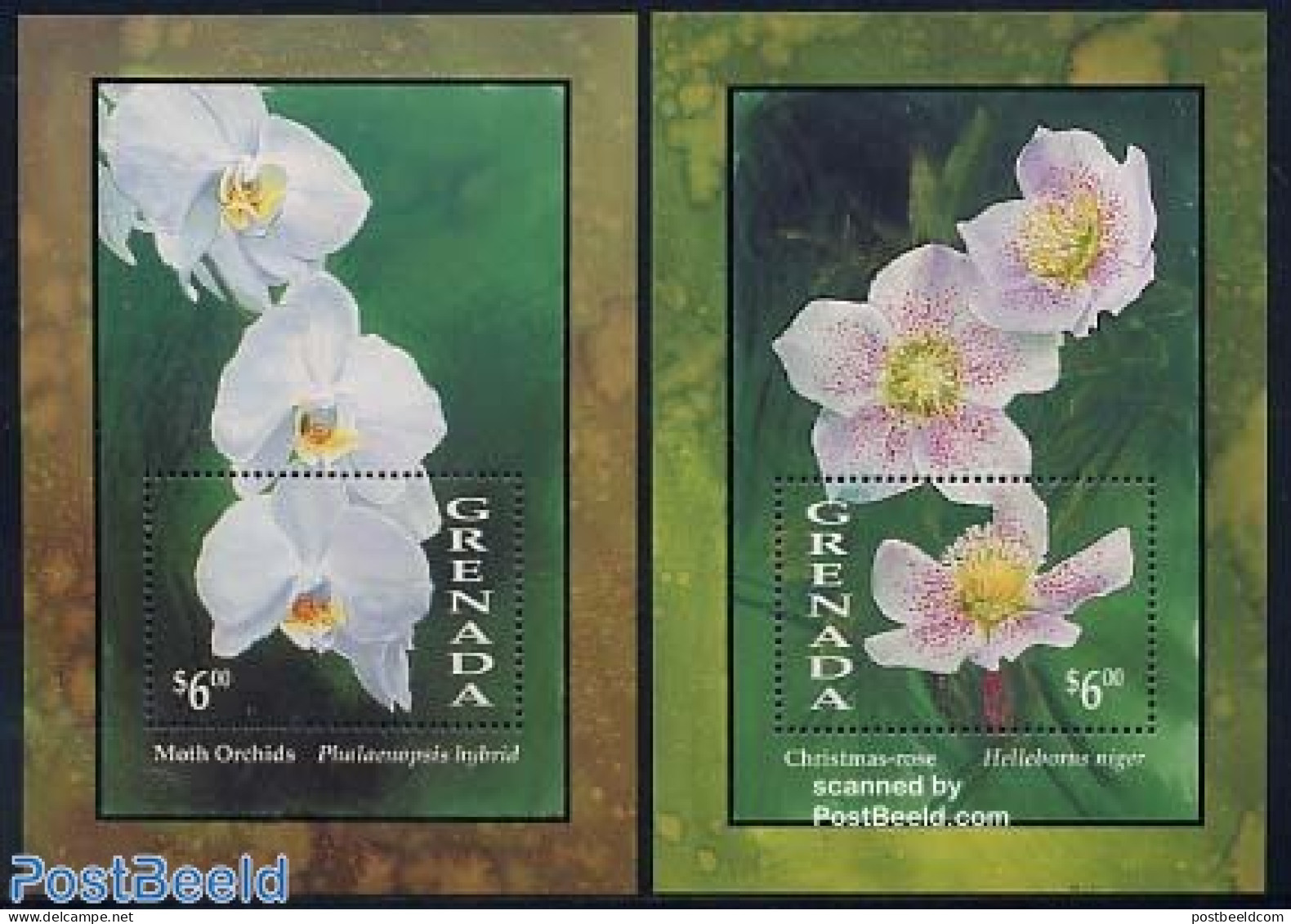 Grenada 1993 Flowers 2 S/s, Mint NH, Nature - Flowers & Plants - Sonstige & Ohne Zuordnung