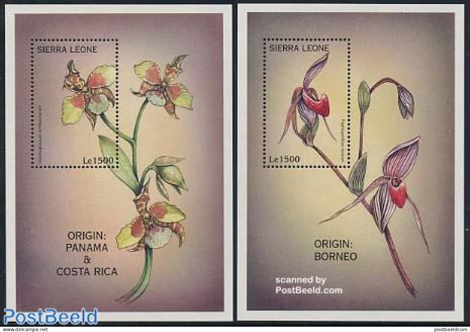 Sierra Leone 1997 Orchids 2 S/s, Mint NH, Nature - Flowers & Plants - Orchids - Sonstige & Ohne Zuordnung