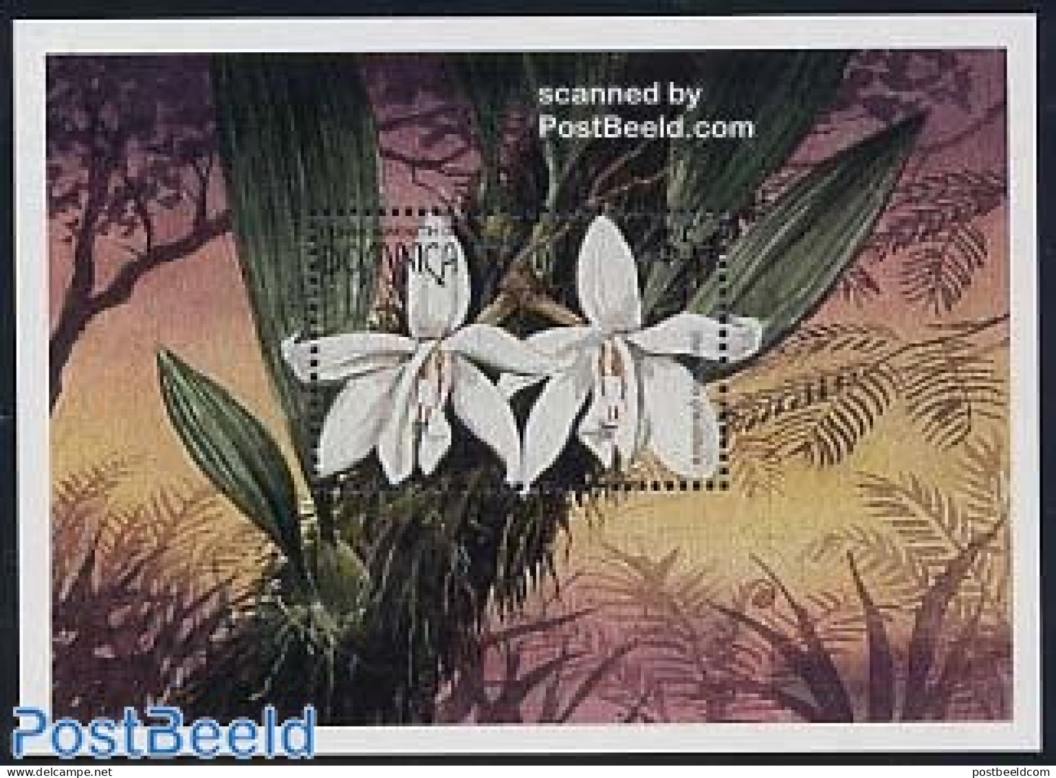 Dominica 1997 Orchids S/s, Stanhopea Grandiflora, Mint NH, Nature - Flowers & Plants - Orchids - República Dominicana