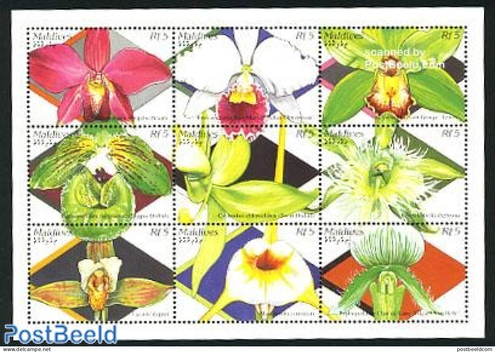 Maldives 1995 Flowers 9v M/s, Mint NH, Nature - Flowers & Plants - Maldivas (1965-...)