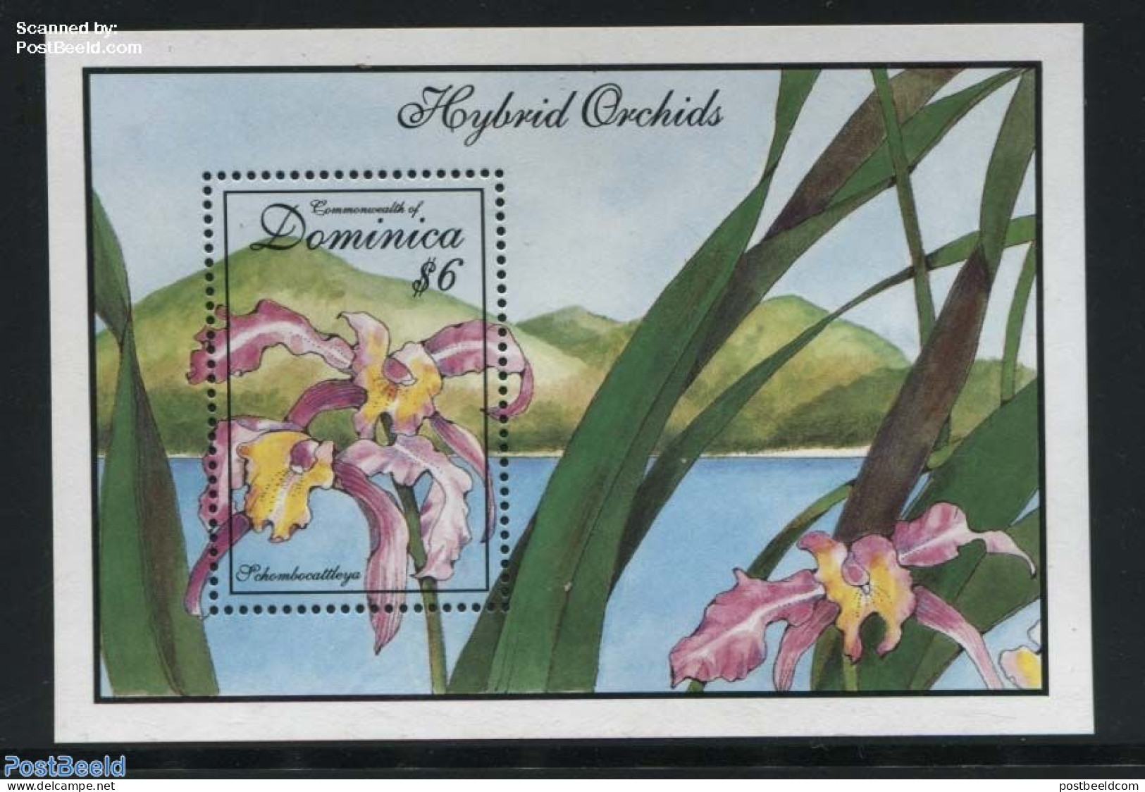 Dominica 1994 Orchids S/s, Mint NH, Nature - Flowers & Plants - Orchids - Dominikanische Rep.