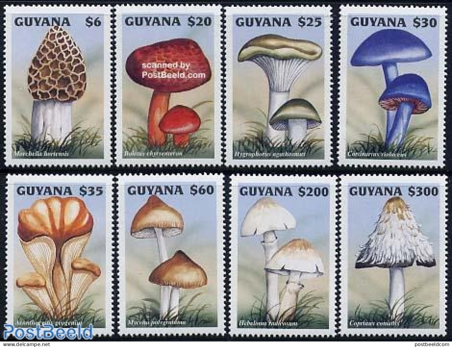 Guyana 1997 Mushrooms 8v, Mint NH, Nature - Mushrooms - Mushrooms