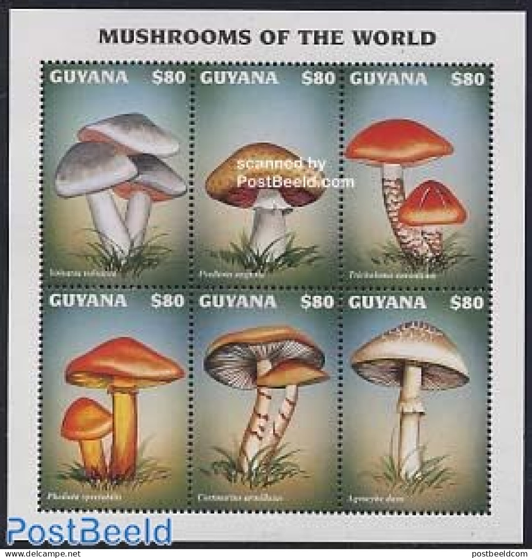 Guyana 1997 Mushrooms 6v M/s, Volvariella Volvacea, Mint NH, Nature - Mushrooms - Mushrooms
