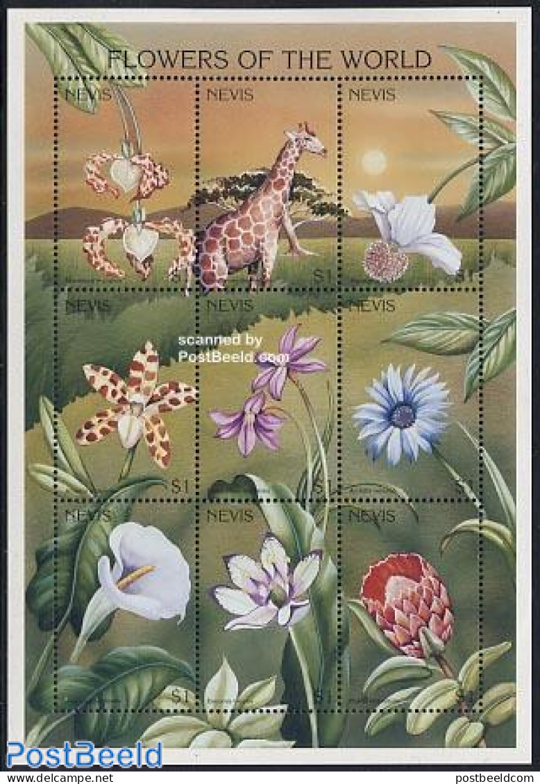 Nevis 1996 Flowers Of The World 9v M/s, Mint NH, Nature - Flowers & Plants - Giraffe - Orchids - St.Kitts Y Nevis ( 1983-...)