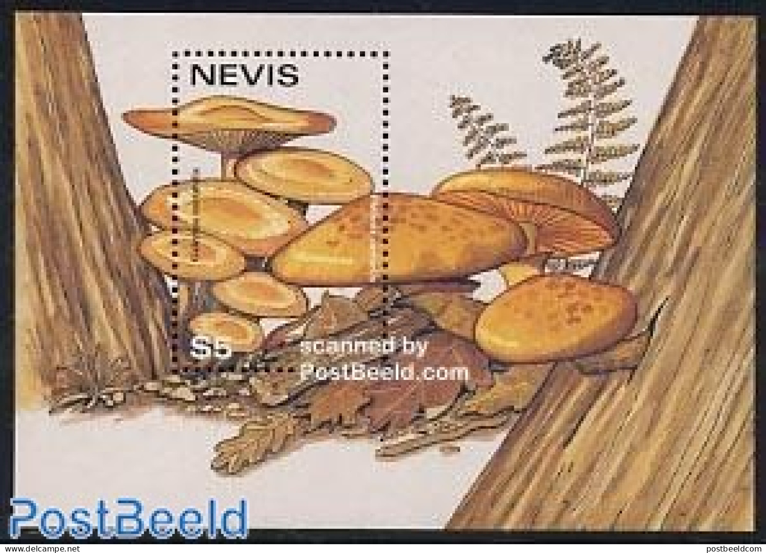 Nevis 1997 Mushrooms S/s, Galerina Mutabilis, Mint NH, Nature - Mushrooms - Funghi