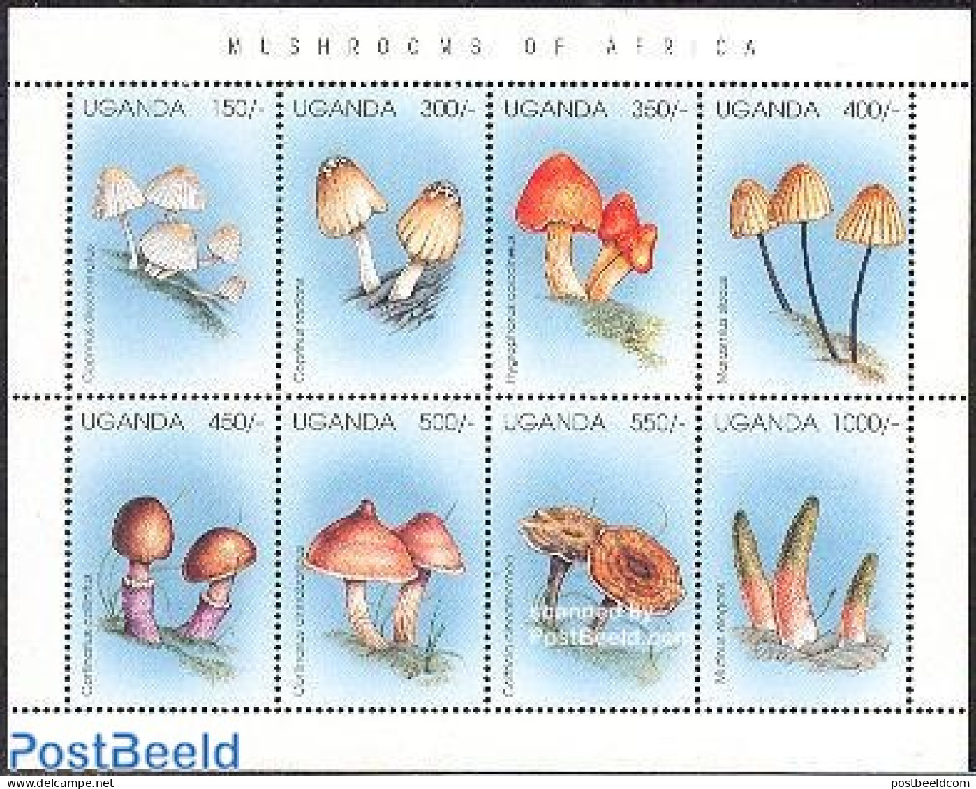 Uganda 1996 Mushrooms 8v M/s, Mint NH, Nature - Mushrooms - Funghi