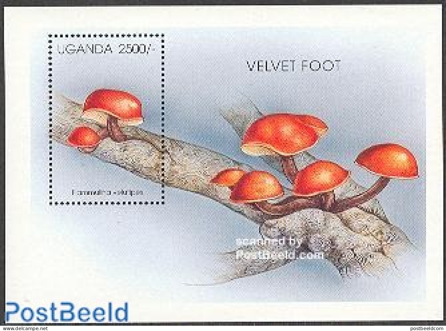 Uganda 1996 Mushroom S/s, Flammulina Velutipes, Mint NH, Nature - Mushrooms - Funghi