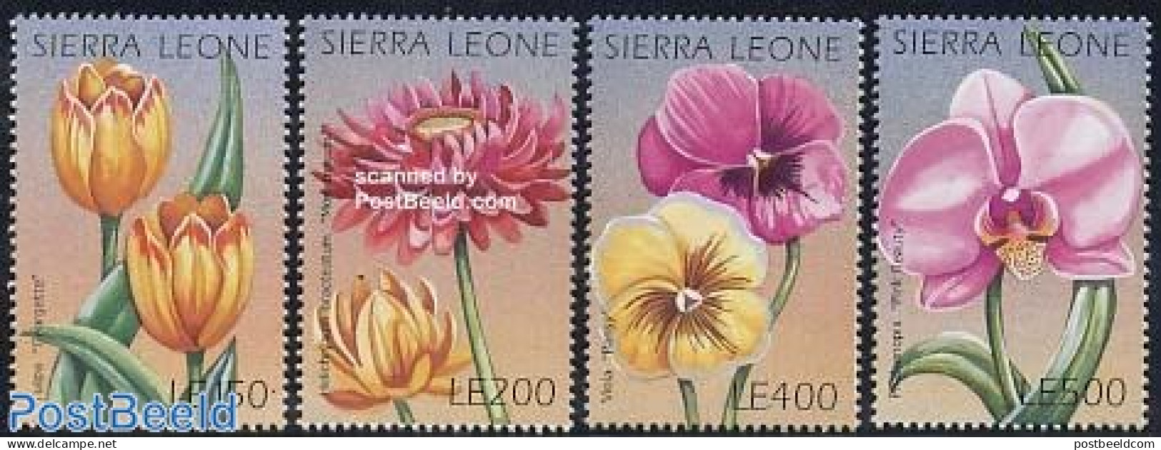 Sierra Leone 1996 Flowers 4v, Mint NH, Nature - Flowers & Plants - Sonstige & Ohne Zuordnung