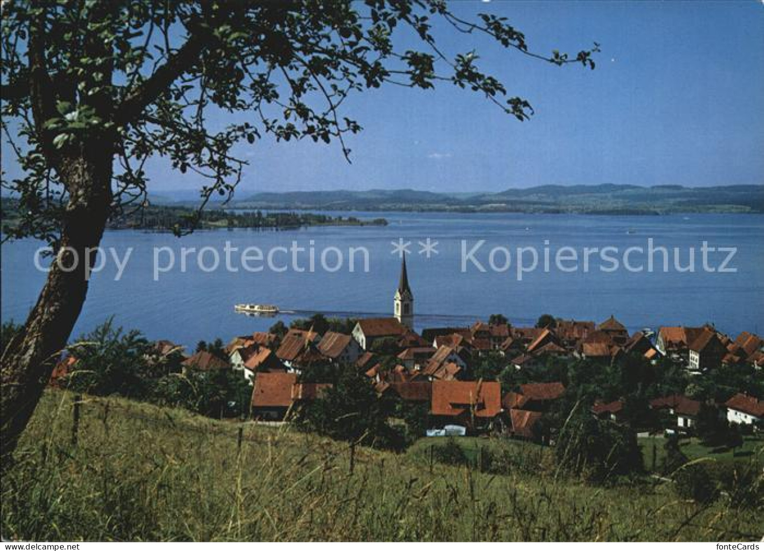 12587751 Berlingen Untersee Ortsansicht Mit Kirche Bodensee Berlingen - Autres & Non Classés