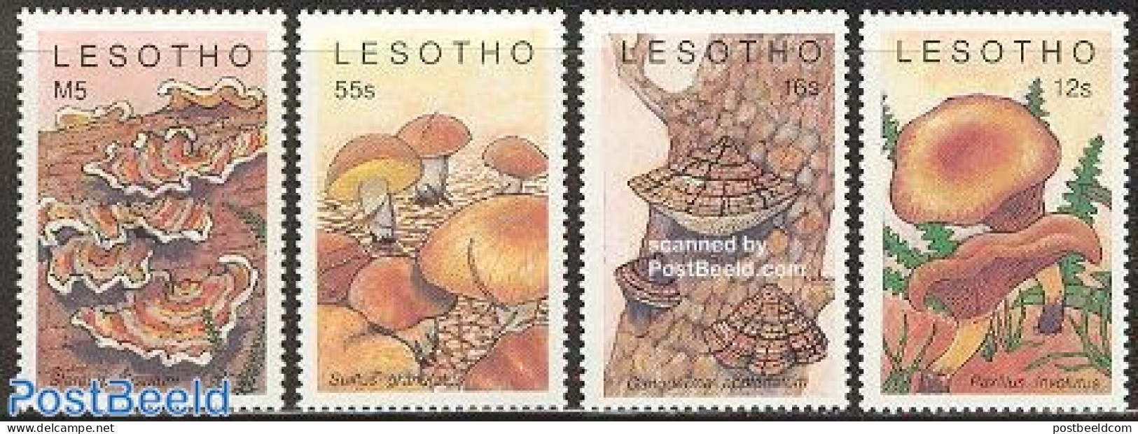 Lesotho 1989 Mushrooms 4v, Mint NH, Nature - Mushrooms - Paddestoelen