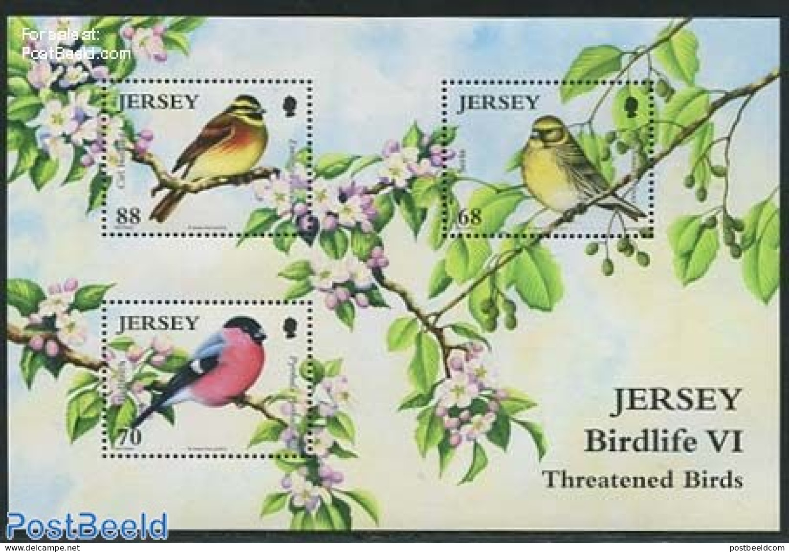 Jersey 2012 Birdlife VI S/s, Mint NH, Nature - Birds - Jersey