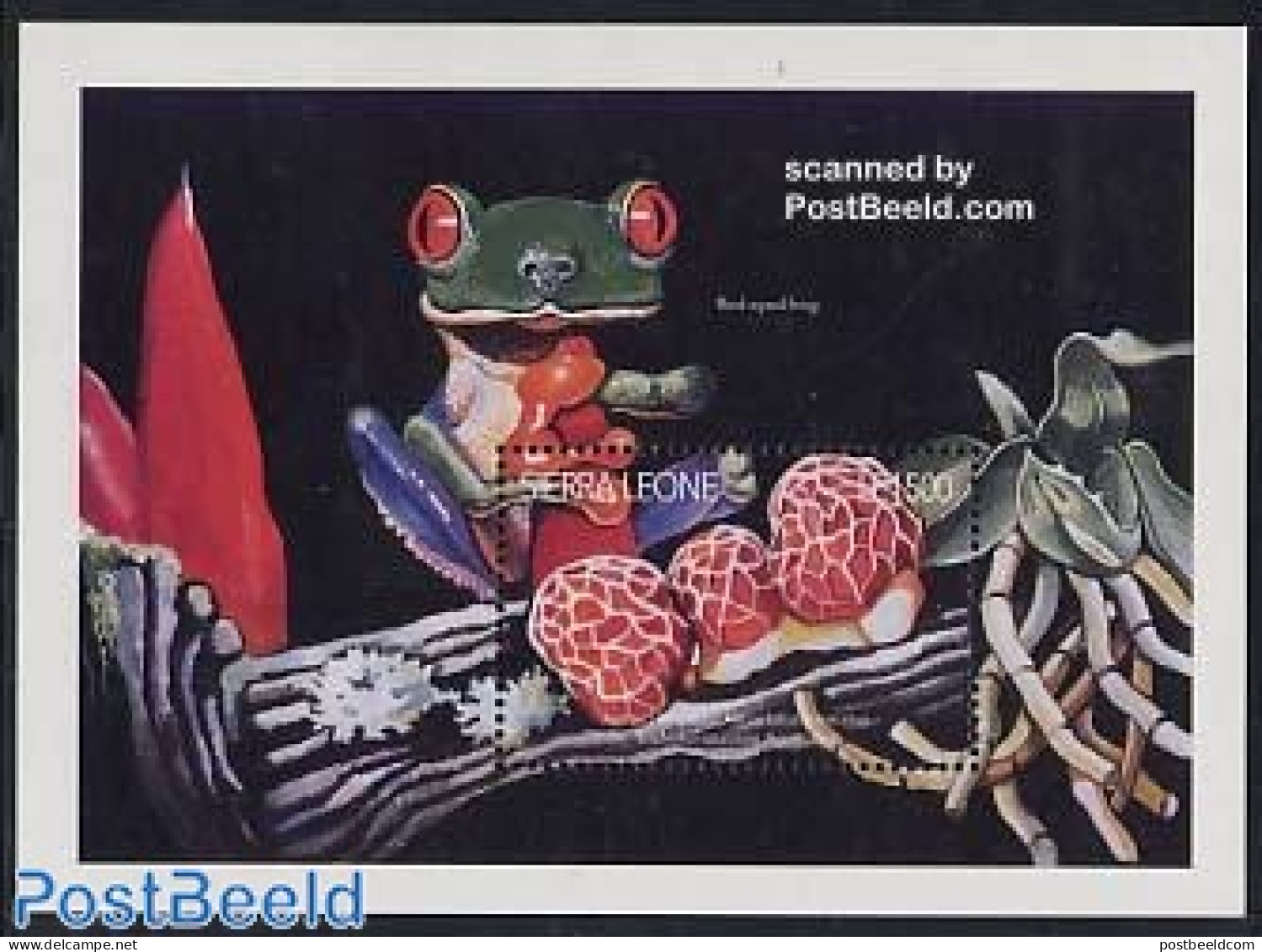 Sierra Leone 1996 Mushroom/frog S/s, Mint NH, Nature - Frogs & Toads - Mushrooms - Reptiles - Pilze