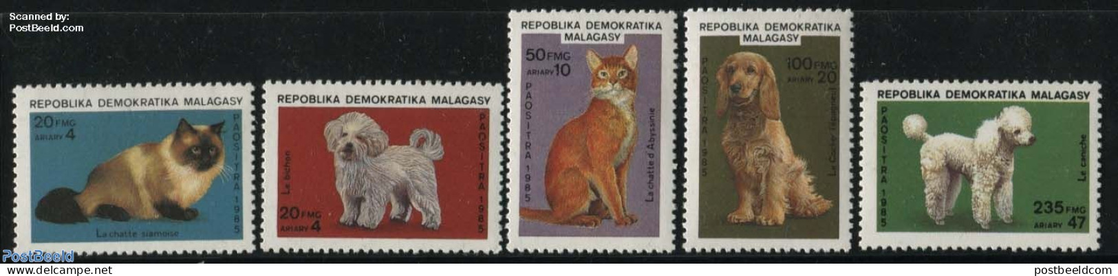 Madagascar 1985 Cats & Dogs 5v, Mint NH, Nature - Cats - Dogs - Sonstige & Ohne Zuordnung