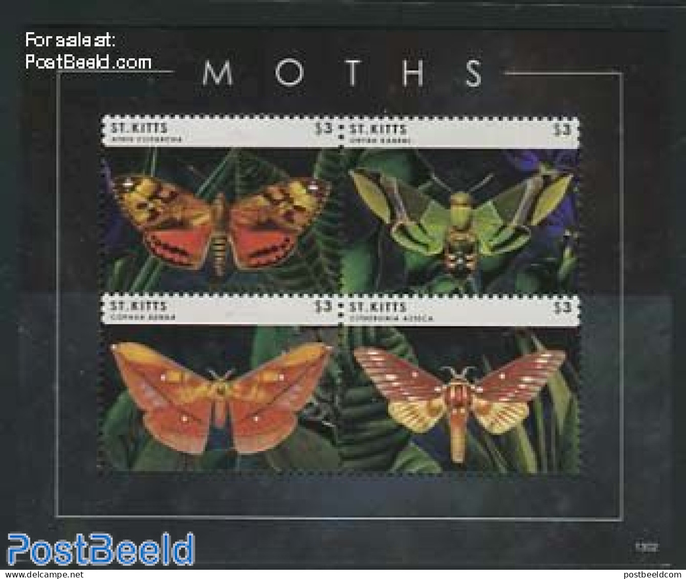 Saint Kitts/Nevis 2013 Moths 4v M/s, Mint NH, Nature - Butterflies - Sonstige & Ohne Zuordnung