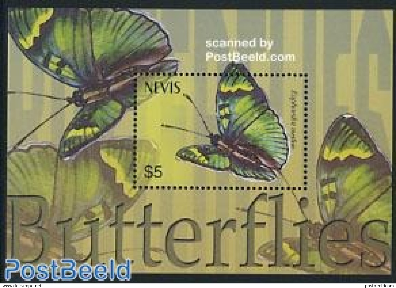 Nevis 2003 Euphaedra Medon S/s, Mint NH, Nature - Butterflies - St.Kitts En Nevis ( 1983-...)