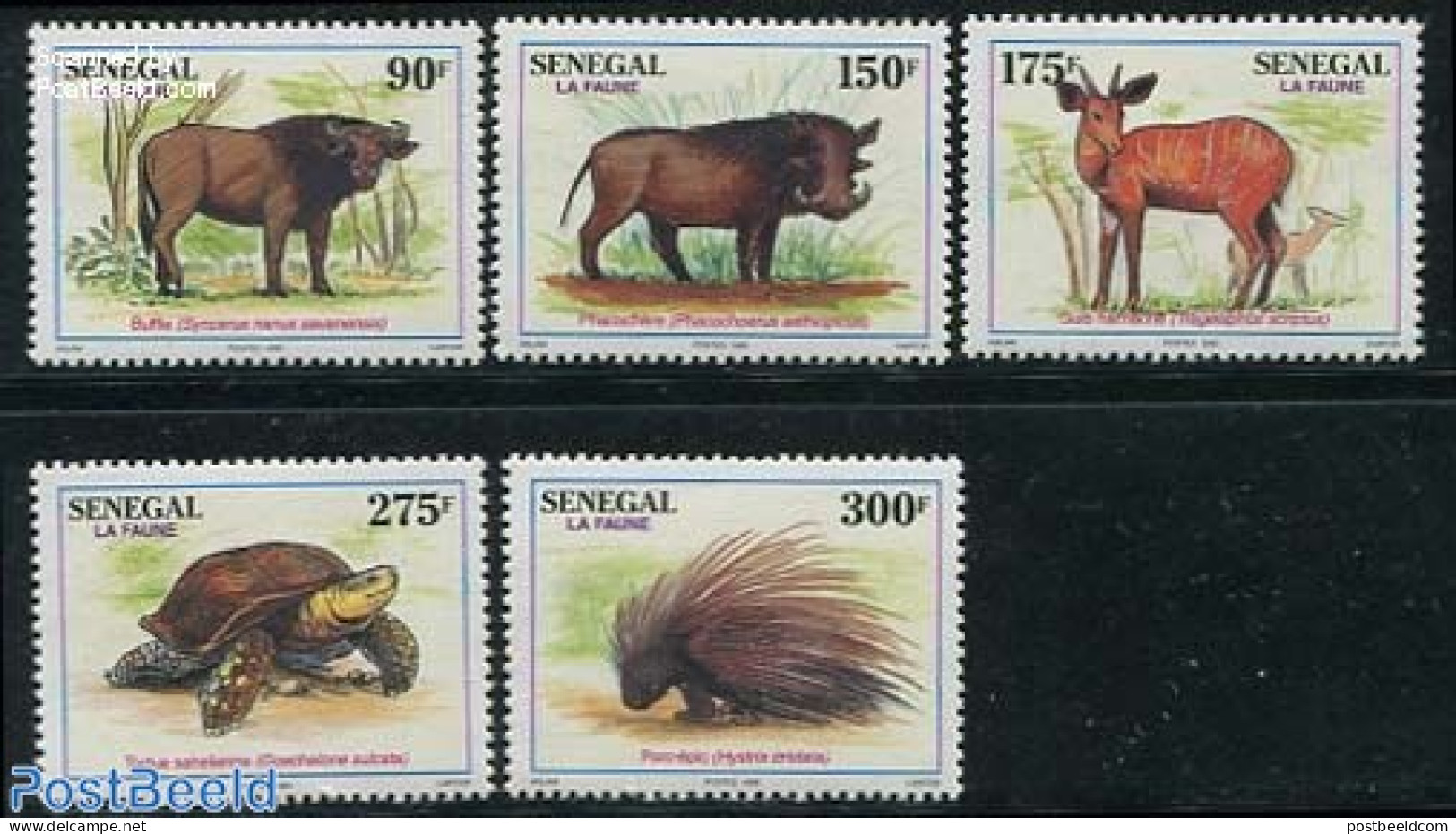 Senegal 1995 Animals 5v, Mint NH, Nature - Animals (others & Mixed) - Reptiles - Turtles - Sénégal (1960-...)