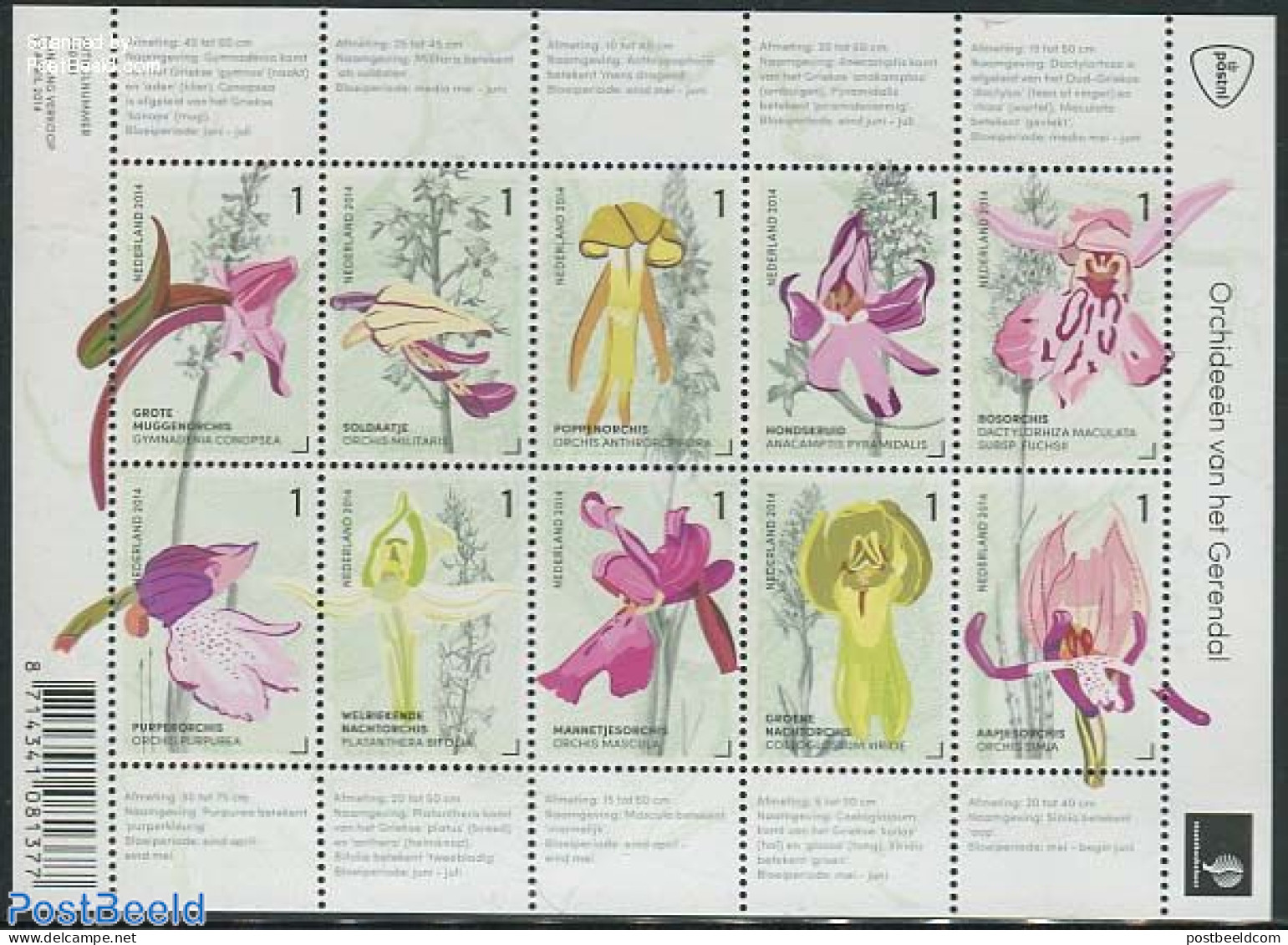 Netherlands 2014 Orchids From Gerendal 10v M/s, Mint NH, Nature - Flowers & Plants - Orchids - Ungebraucht