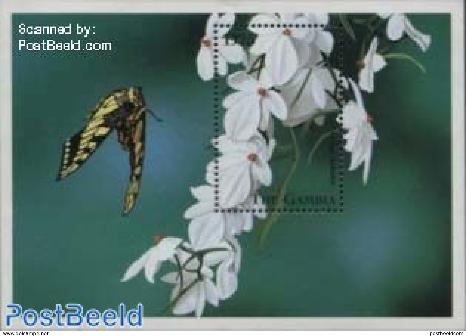 Gambia 1998 Aerangis Rhodosticta S/s, Mint NH, Nature - Butterflies - Flowers & Plants - Gambia (...-1964)