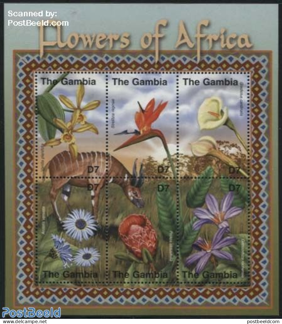 Gambia 2001 Flowers 6v M/s, Mint NH, Nature - Animals (others & Mixed) - Flowers & Plants - Gambie (...-1964)