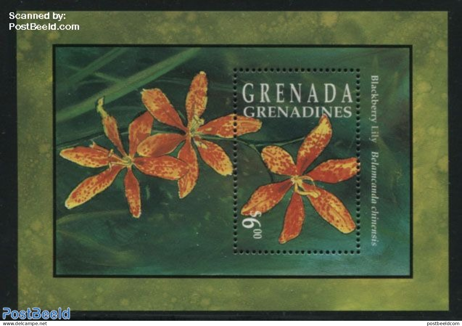 Grenada Grenadines 1993 Belamcanda Chinensis S/s, Mint NH, Nature - Flowers & Plants - Grenade (1974-...)