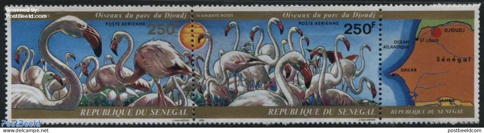 Senegal 1974 Birds 2v+tab [:], Out Of Set, Mint NH, Various - Maps - Geographie