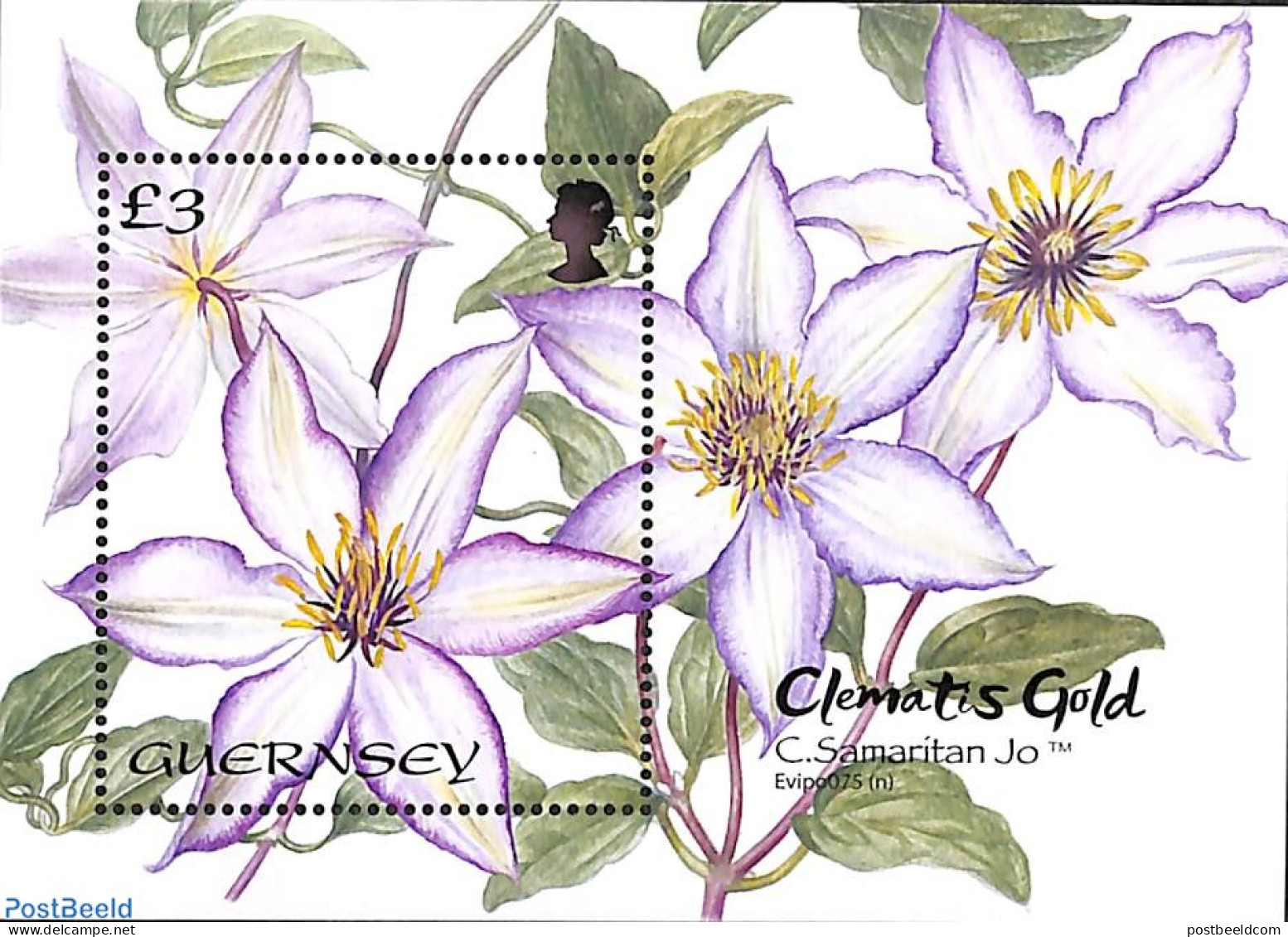 Guernsey 2022 Clematis Samaritan Jo S/s, Mint NH, Nature - Flowers & Plants - Guernsey