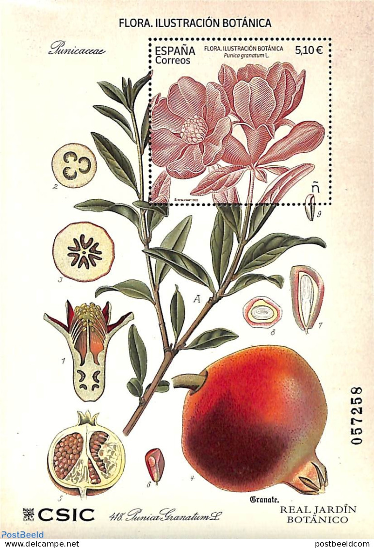 Spain 2022 Botanical Illustrations S/s, Mint NH, Nature - Flowers & Plants - Ongebruikt
