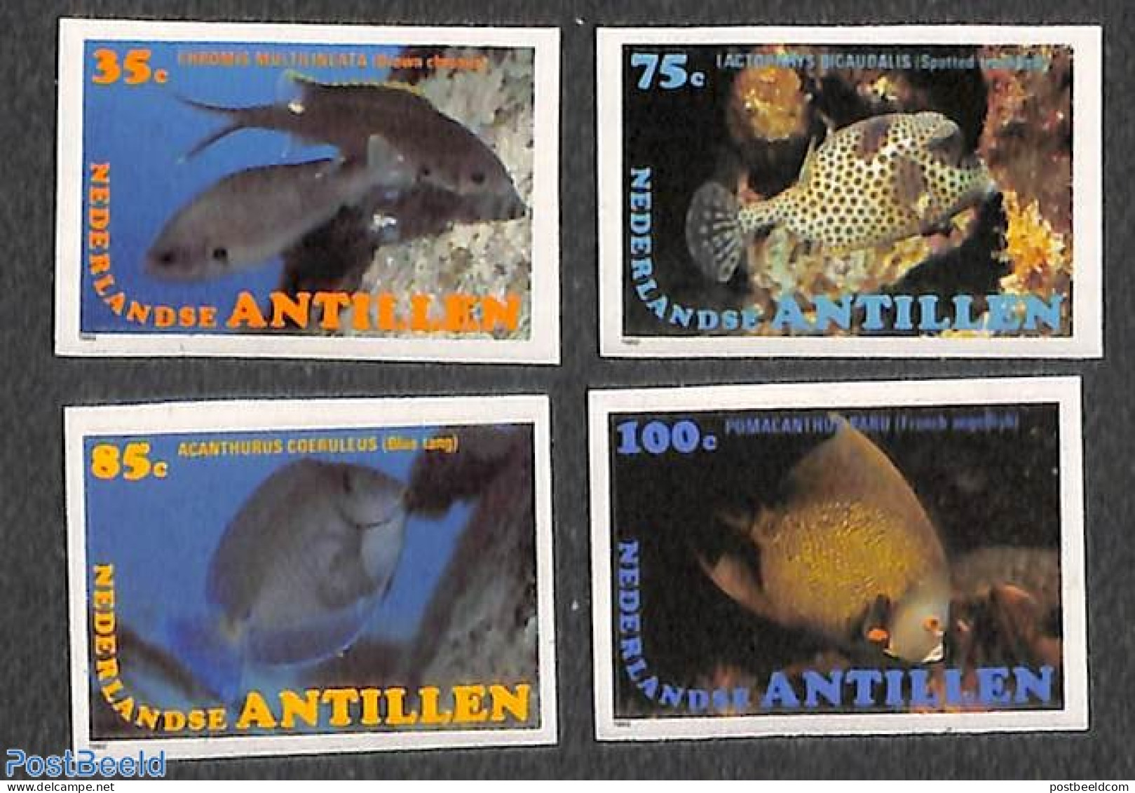 Netherlands Antilles 1982 Fish 4v, Imperforated, Mint NH, Nature - Fish - Poissons