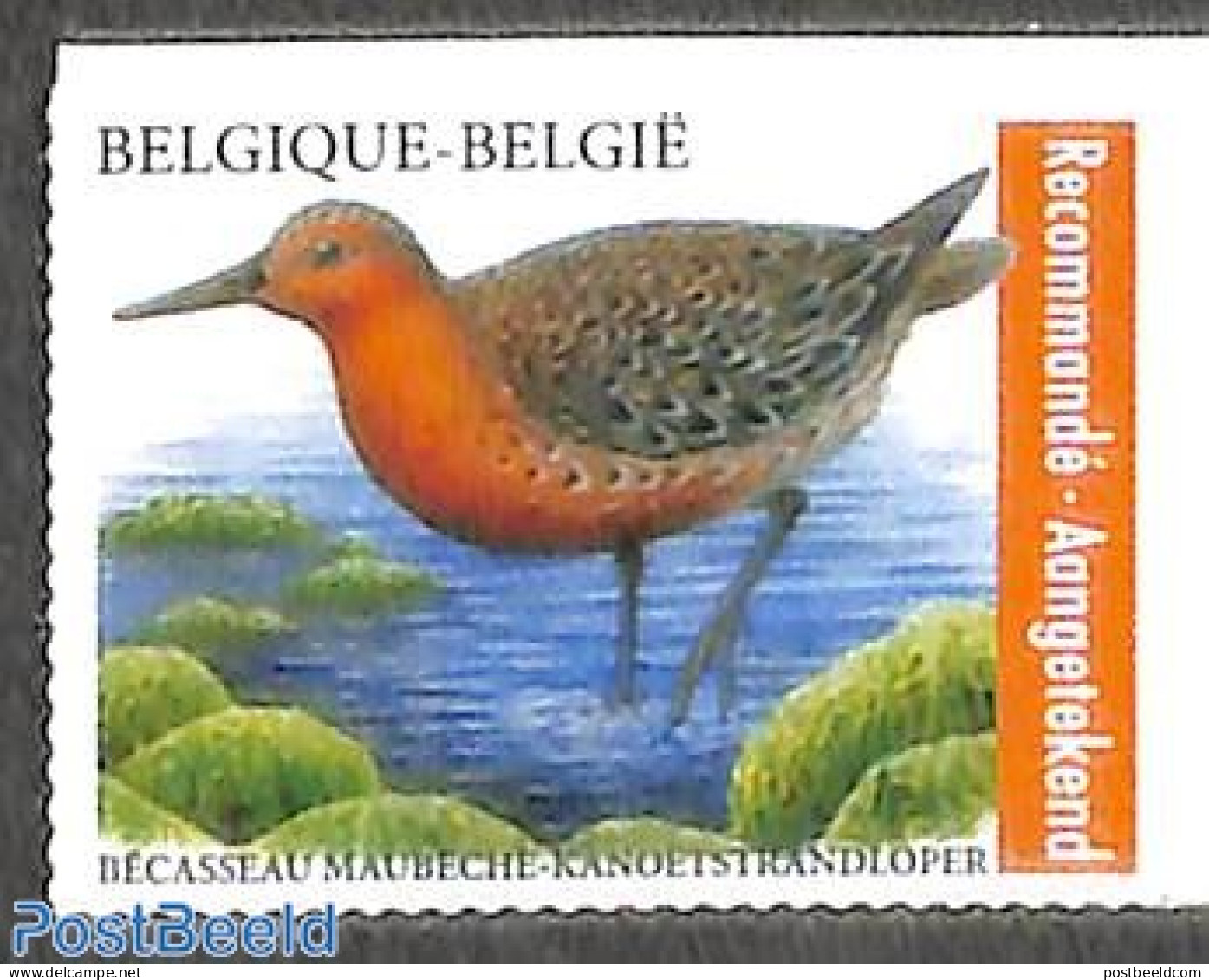 Belgium 2023 Bird 1v For Registered Mail, Mint NH, Nature - Birds - Nuovi