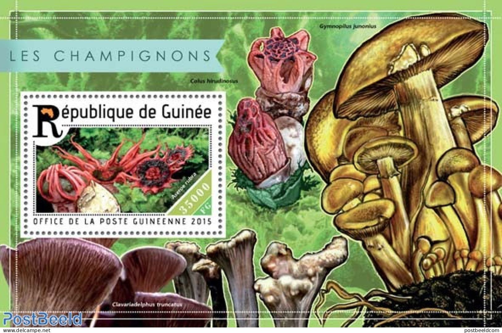 Guinea, Republic 2015 Mushrooms, Mint NH, Nature - Mushrooms - Champignons