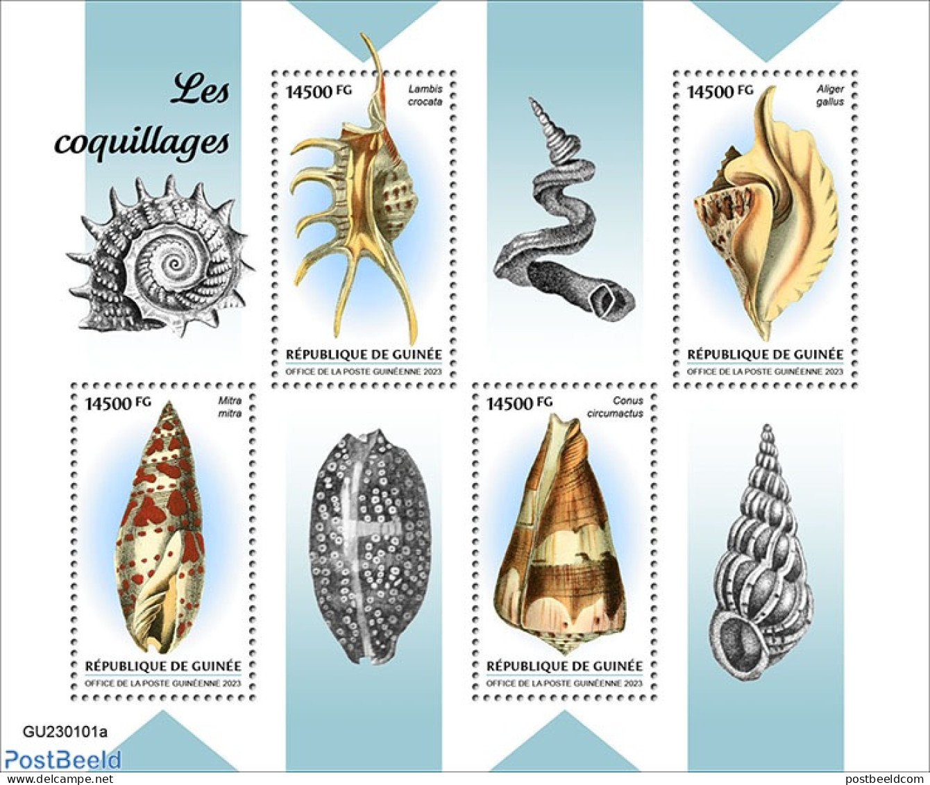 Guinea, Republic 2023 Shells, Mint NH, Nature - Shells & Crustaceans - Vita Acquatica