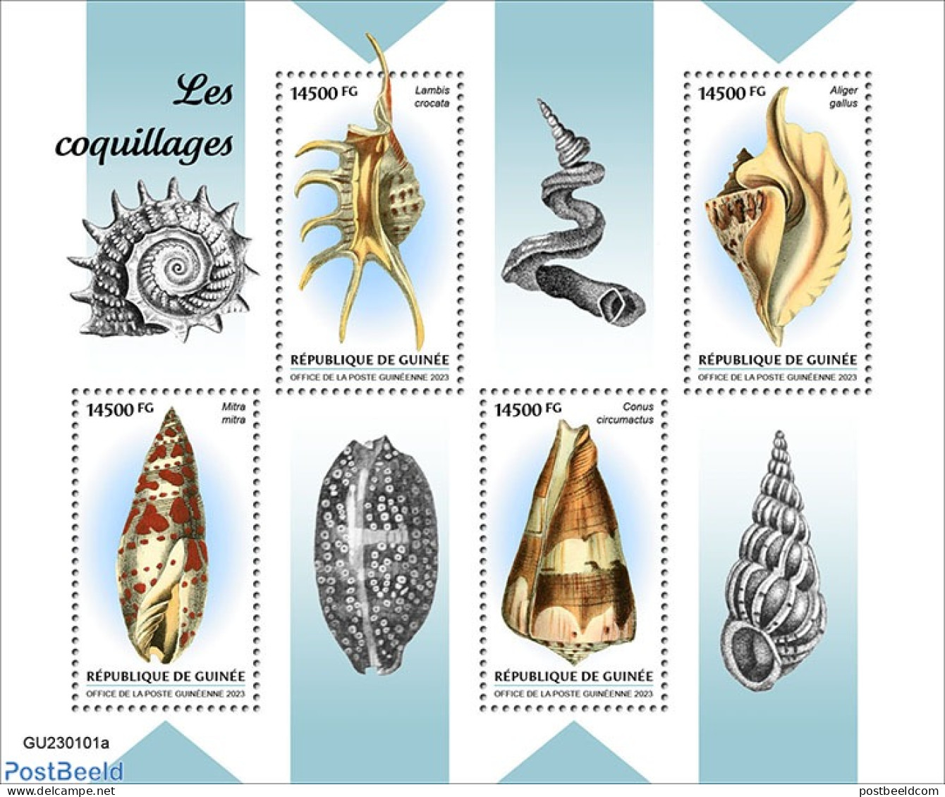 Guinea, Republic 2023 Shells, Mint NH, Nature - Shells & Crustaceans - Marine Life