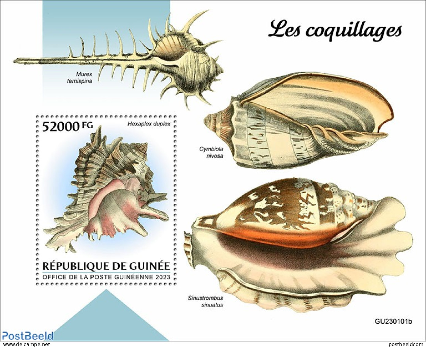 Guinea, Republic 2023 Shells, Mint NH, Nature - Shells & Crustaceans - Marine Life