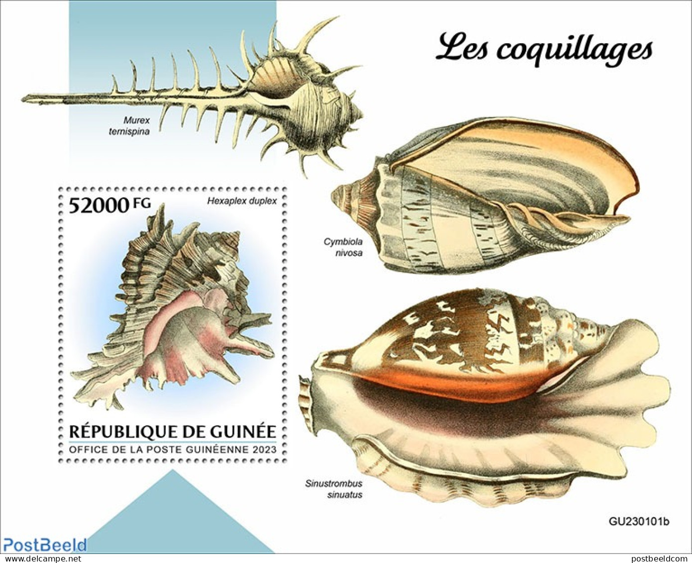 Guinea, Republic 2023 Shells, Mint NH, Nature - Shells & Crustaceans - Meereswelt