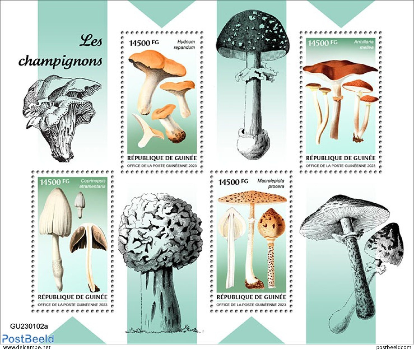 Guinea, Republic 2023 Mushrooms, Mint NH, Nature - Mushrooms - Mushrooms
