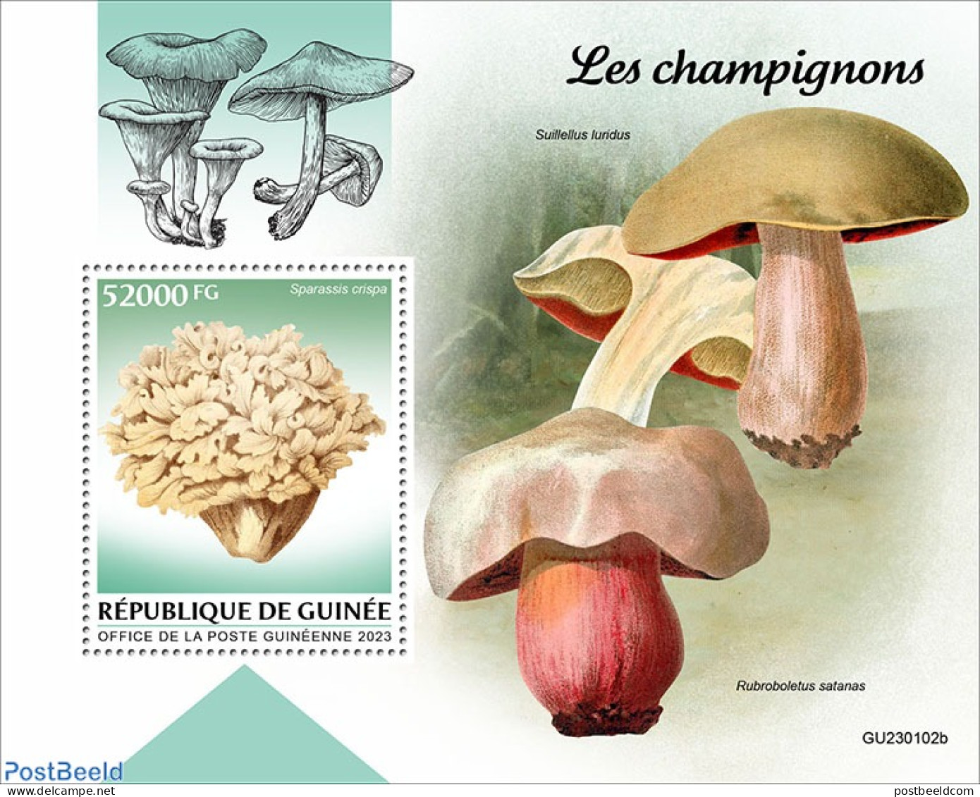 Guinea, Republic 2023 Mushrooms, Mint NH, Nature - Mushrooms - Funghi