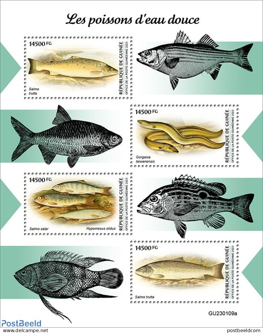 Guinea, Republic 2023 Fishes, Mint NH, Nature - Fish - Fische