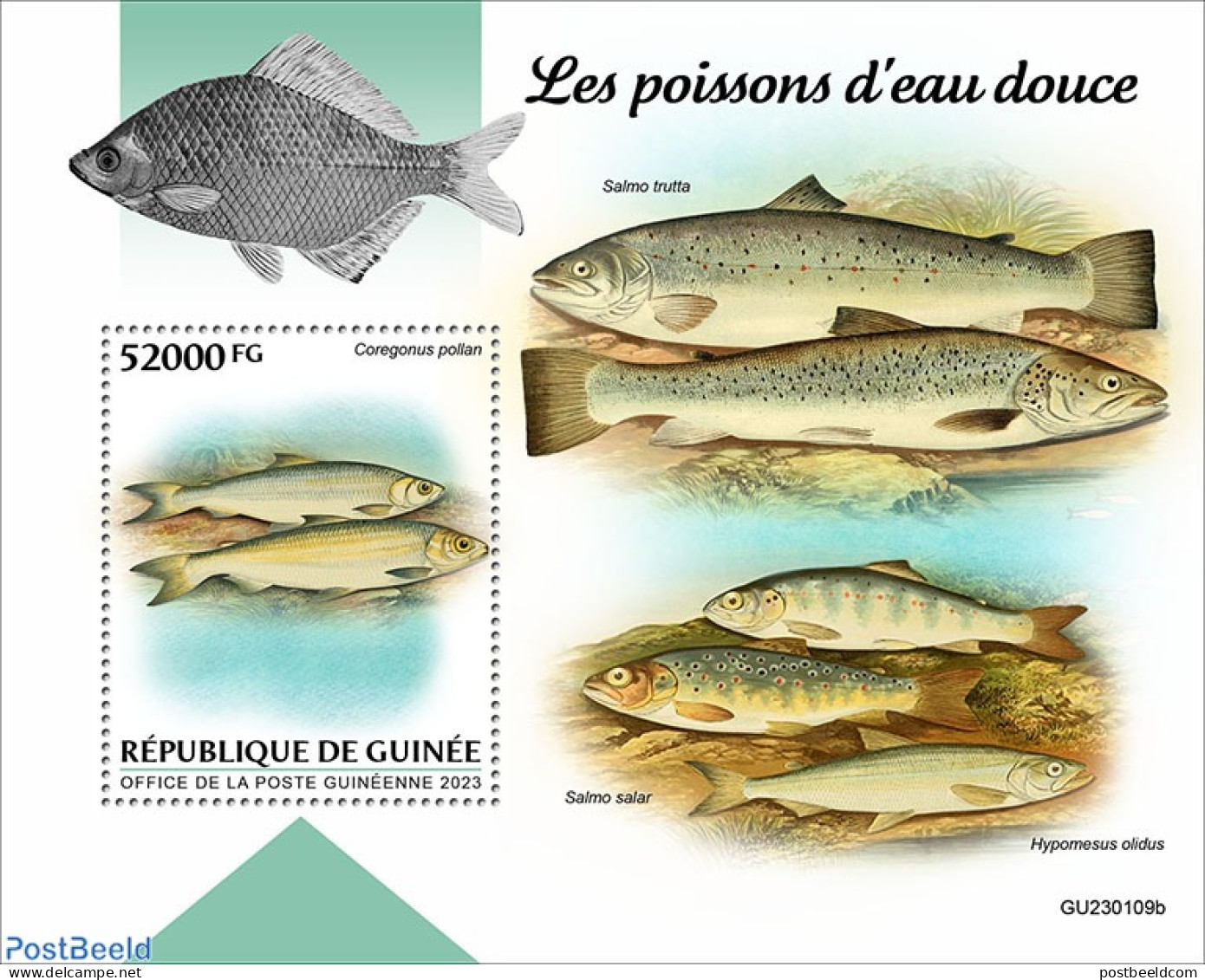 Guinea, Republic 2023 Fishes, Mint NH, Nature - Fish - Poissons