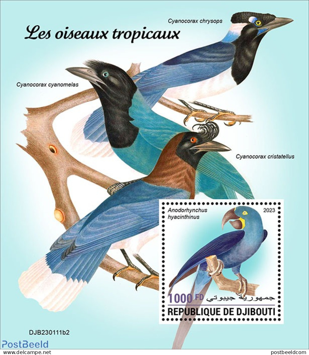 Djibouti 2023 Tropical Birds, Mint NH, Nature - Birds - Gibuti (1977-...)
