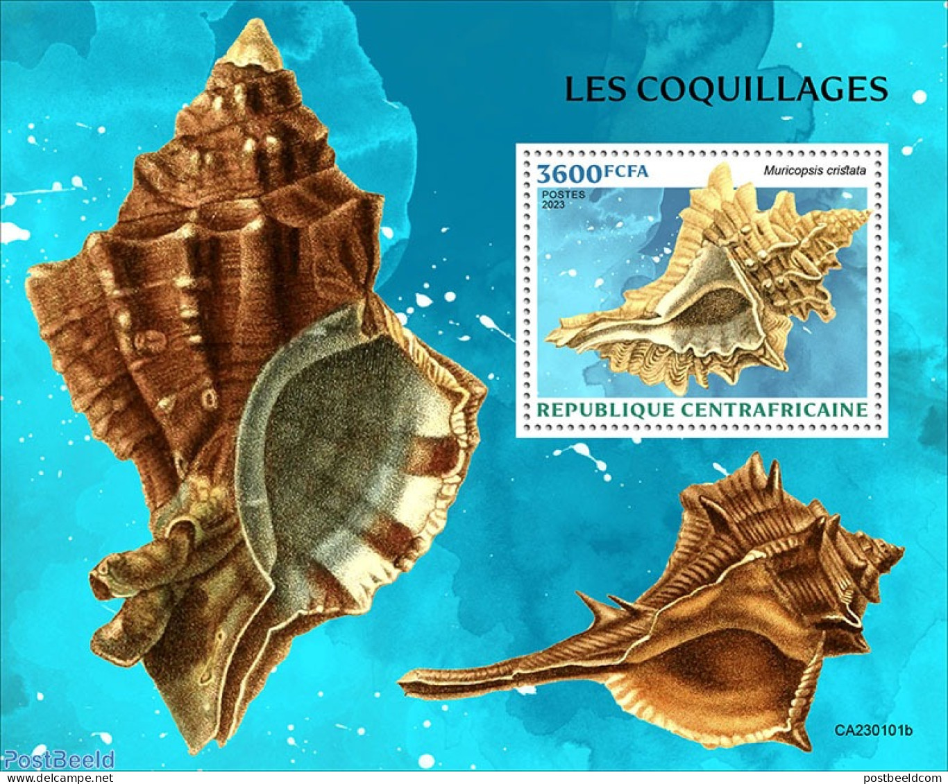 Central Africa 2023 Shells, Mint NH, Nature - Shells & Crustaceans - Vie Marine