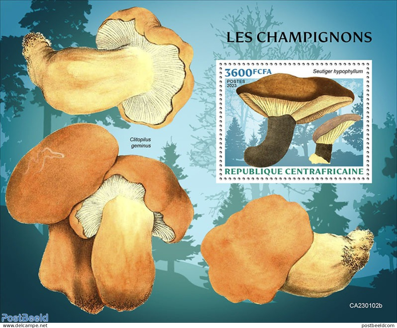 Central Africa 2023 Mushrooms, Mint NH, Nature - Mushrooms - Champignons