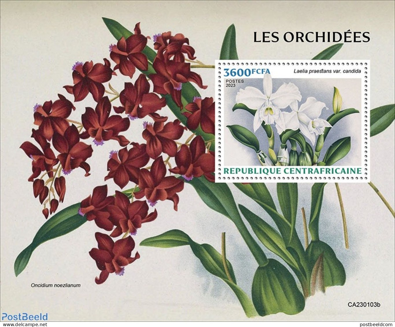 Central Africa 2023 Orchids, Mint NH, Nature - Flowers & Plants - Orchids - Repubblica Centroafricana