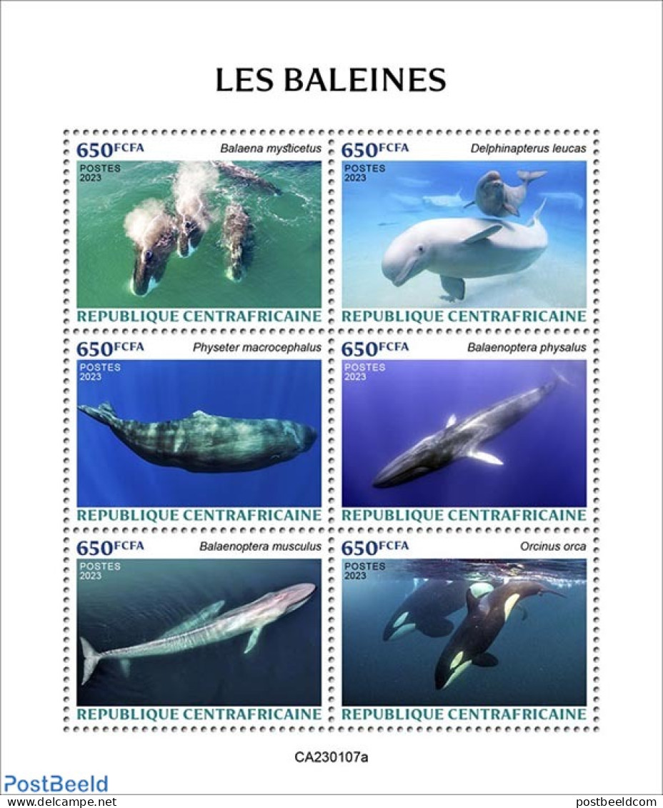 Central Africa 2023 Whales, Mint NH, Nature - Sea Mammals - Zentralafrik. Republik