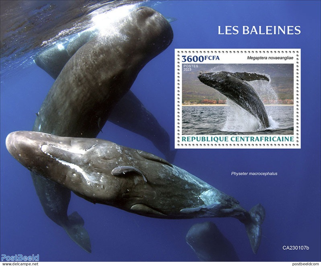 Central Africa 2023 Whales, Mint NH, Nature - Sea Mammals - Centrafricaine (République)