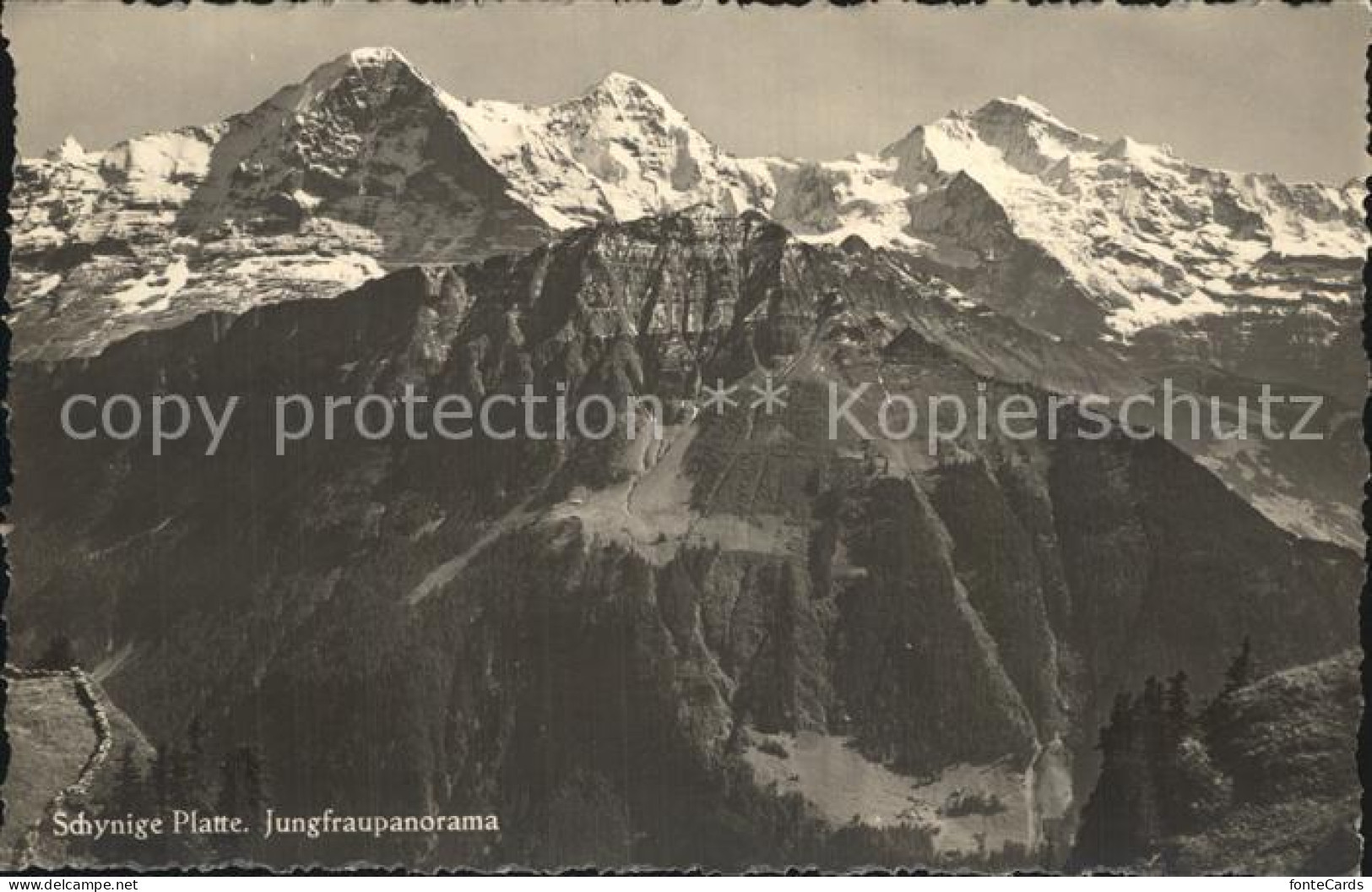 12586480 Schynige Platte Panorama Mit Jungfrau Berner Alpen Schynige Platte - Altri & Non Classificati