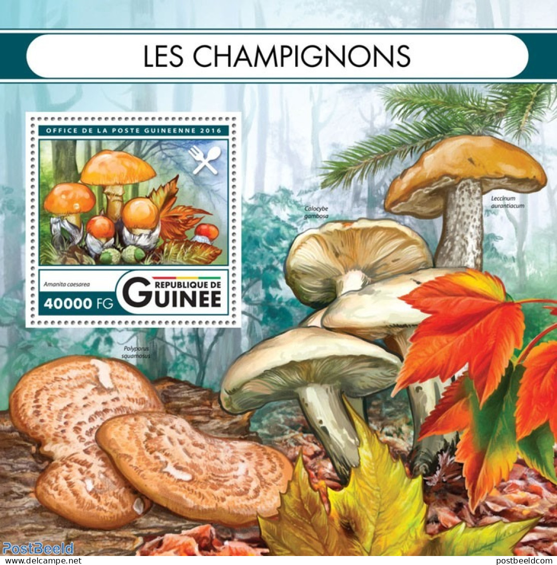 Guinea, Republic 2016 Mushrooms, Mint NH, Nature - Mushrooms - Paddestoelen